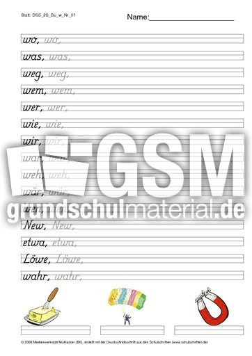 DSS_2S_Bu_w_Nr_01.pdf